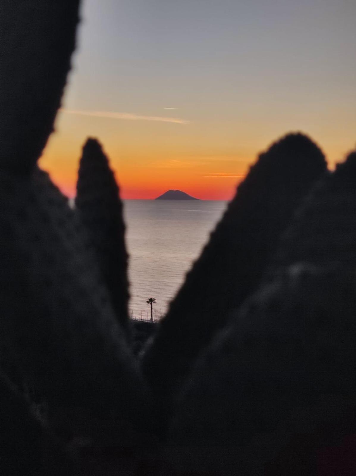 Residenza Stefanelli Daire Capo Vaticano Dış mekan fotoğraf