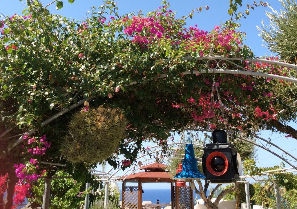 Residenza Stefanelli Daire Capo Vaticano Dış mekan fotoğraf