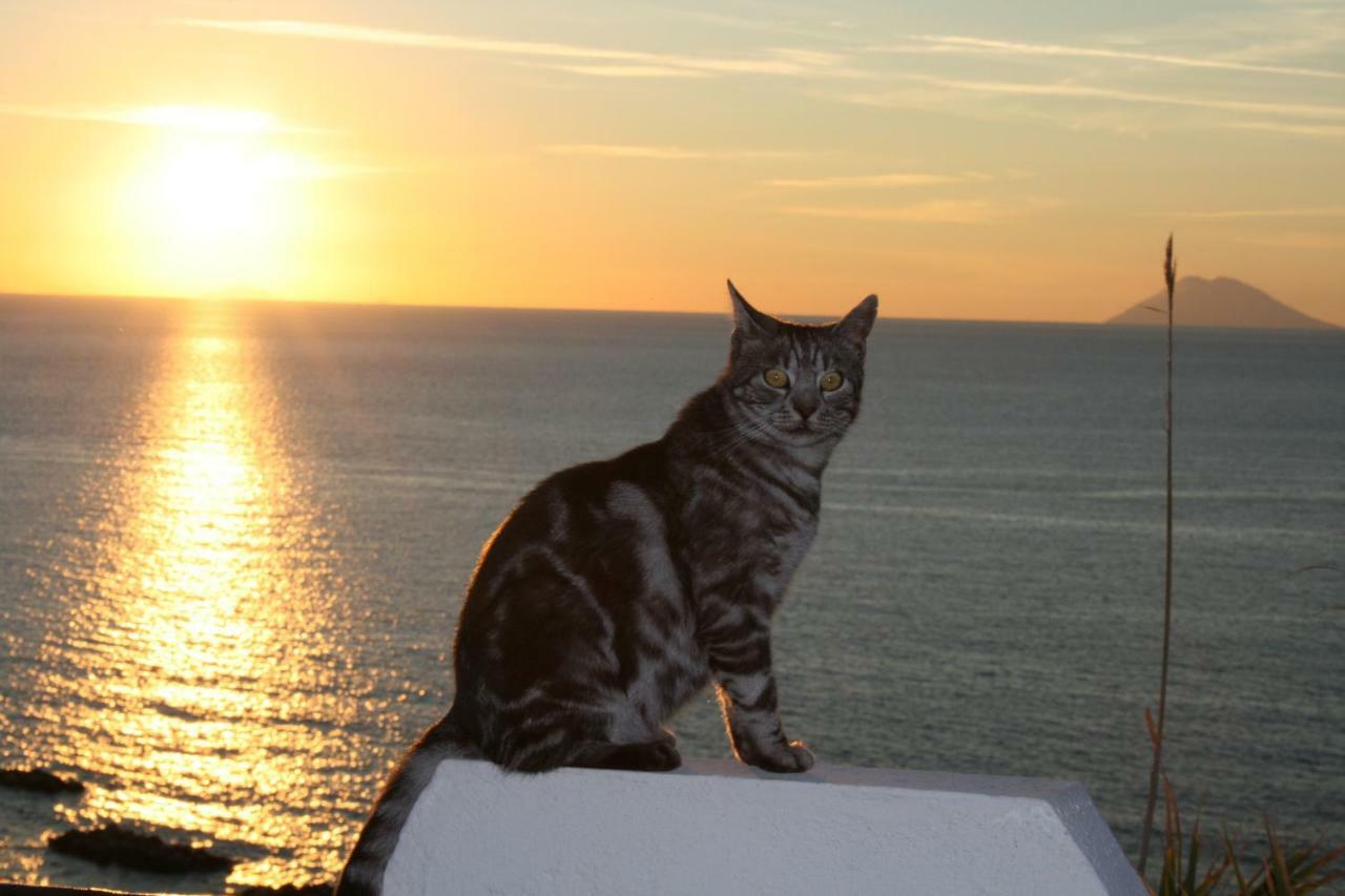 Residenza Stefanelli Daire Capo Vaticano Dış mekan fotoğraf