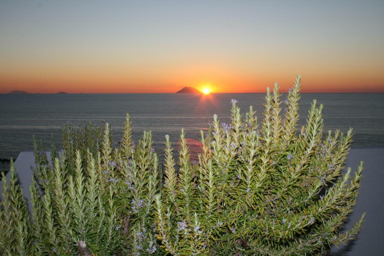 Residenza Stefanelli Daire Capo Vaticano Dış mekan fotoğraf